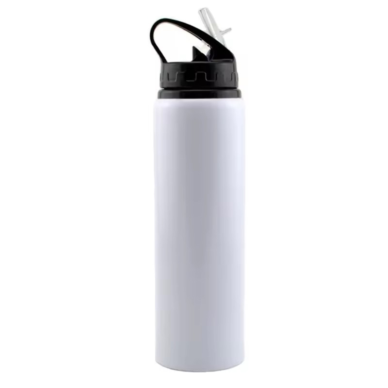 stainless steel water bottles with straw