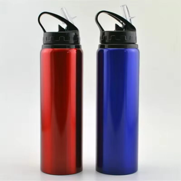 Portable Travel Water Bottle